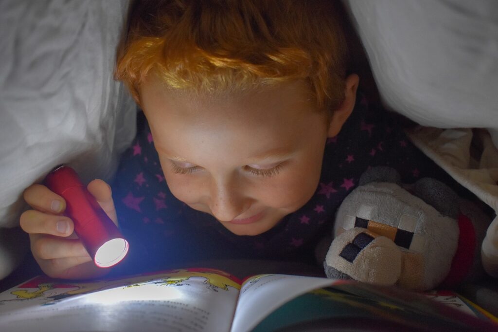 reading, bed, flashlight-5069826.jpg