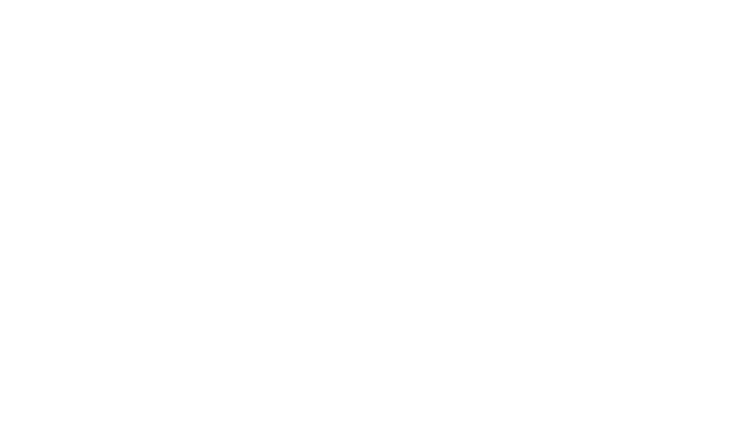Prof.Experience